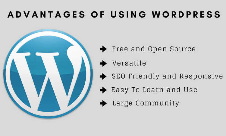 Advantages of developing a website from Wordpress