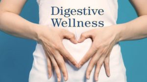 digestive wellness