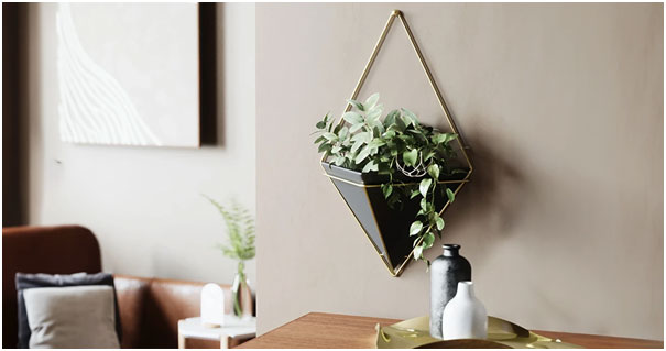 Hanging Wall Planters