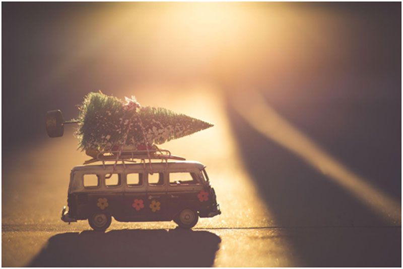 Navigating the Holiday Rush: SMS Reminders as a Tool for Businesses and Consumers